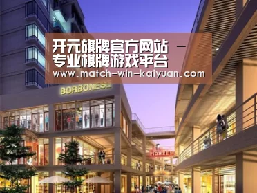 案例展示一